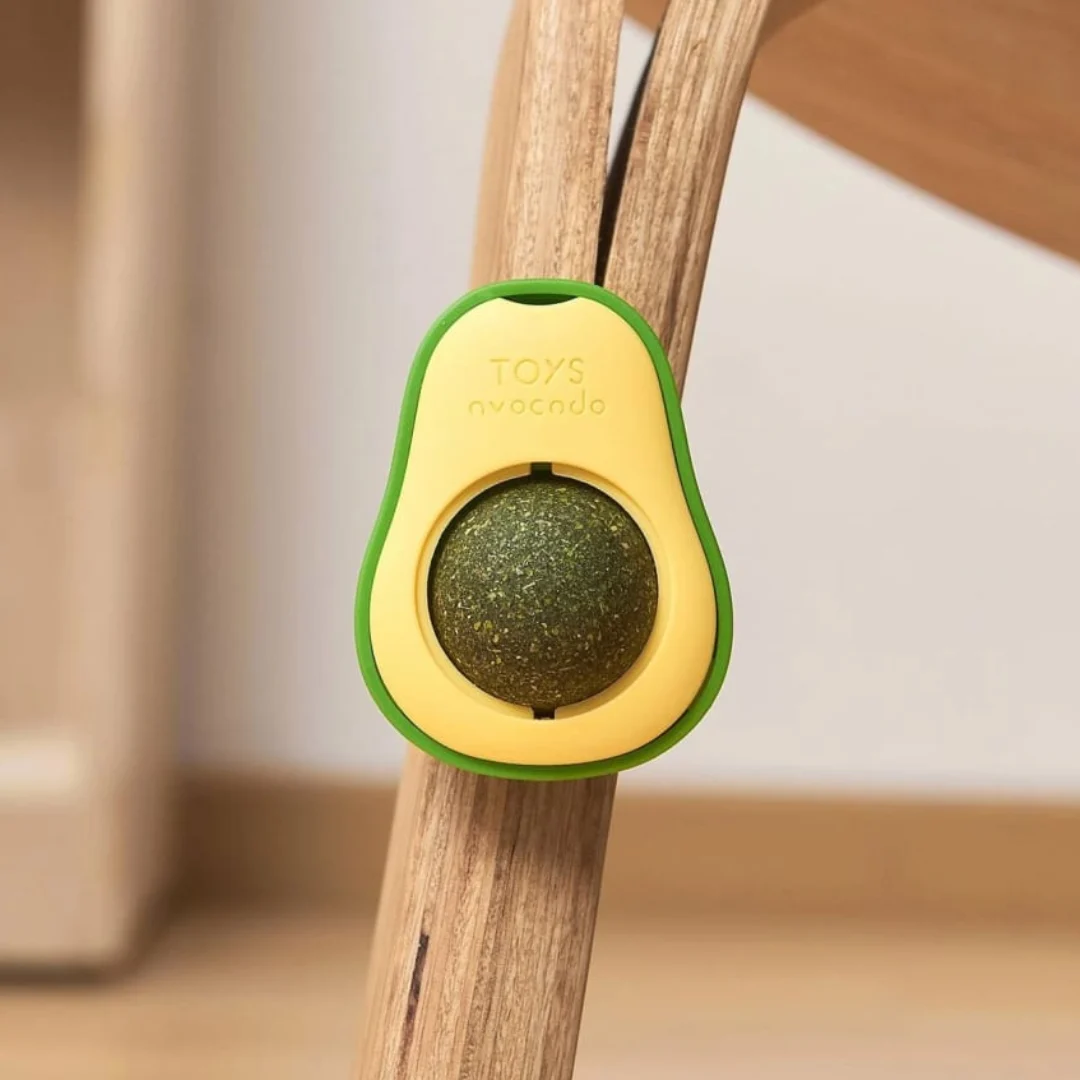 PALTA CON CATNIP SJ - Image 2