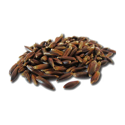Pavo Cereals - Avena Negra Despuntada - Image 2