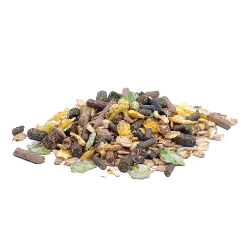 Pavo Cerevit - Image 2