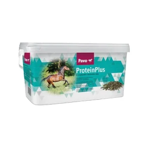 Pavo ProteinPlus
