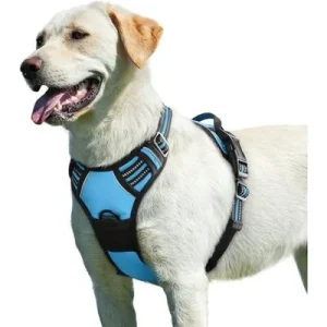 Pawffee Arnés reflectante antitirones para perros asa, talla grande, azul 1 pieza