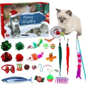 Pawffee Calendario de Adviento para Gatos: Juguetes sorpresa diarios gatos