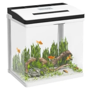 PawHut Acuario de Cristal 29x20x30.5 cm