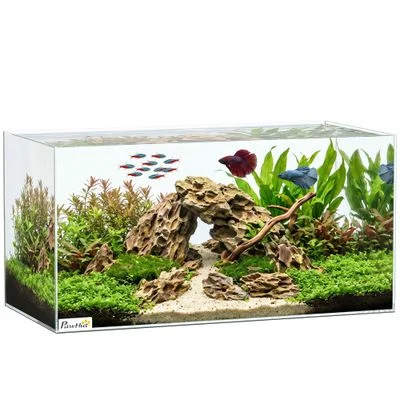 PawHut Acuario de Cristal 60x30x30 cm Transparente 1 Article