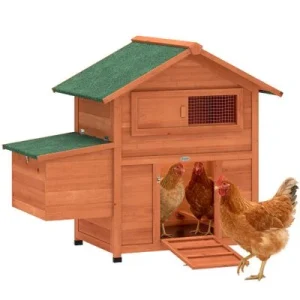 PawHut Gallinero 113.5x67.5x95.5 cm Naranja 1 Article