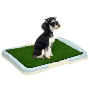 PawHut Inodoro para Perro 63x48.5x6 cm Multicolor 1 Article