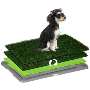 PawHut Inodoro para Perro 67x41x3.5 cm Verde 1 Article
