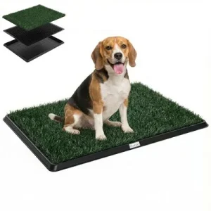 PawHut Inodoro para Perro 76x50.5x3.5 cm