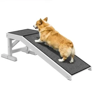PawHut Rampa para Perro 125x40x35.5 cm Blanco y Gris 1 Article