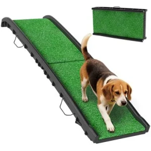 PawHut Rampa para Perro 155x38.5x15.5 cm Verde 1 Article