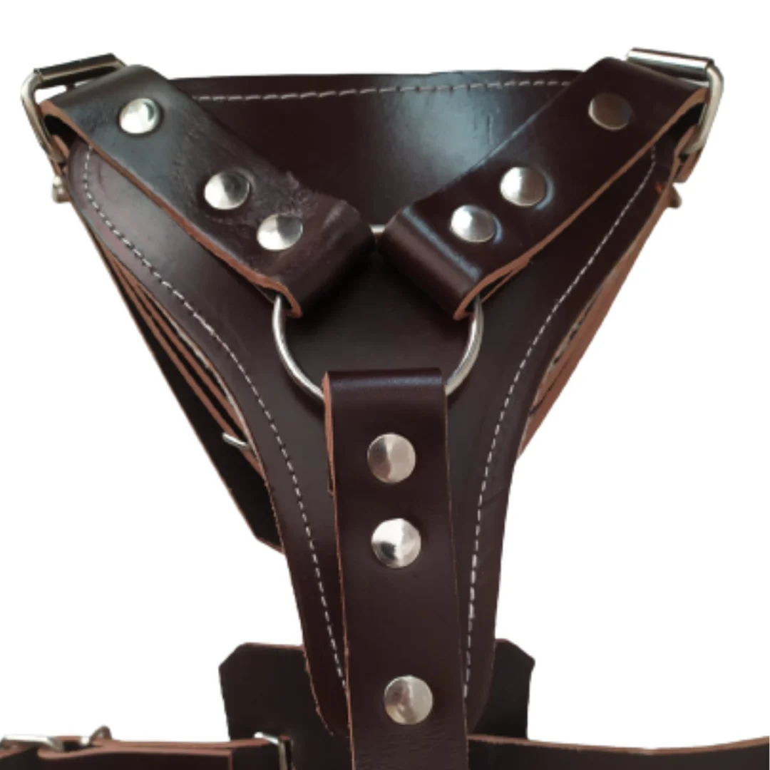 PECHERA DE CUERO - Image 2