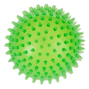 Pelota TPR Spiky Ball grande para perros