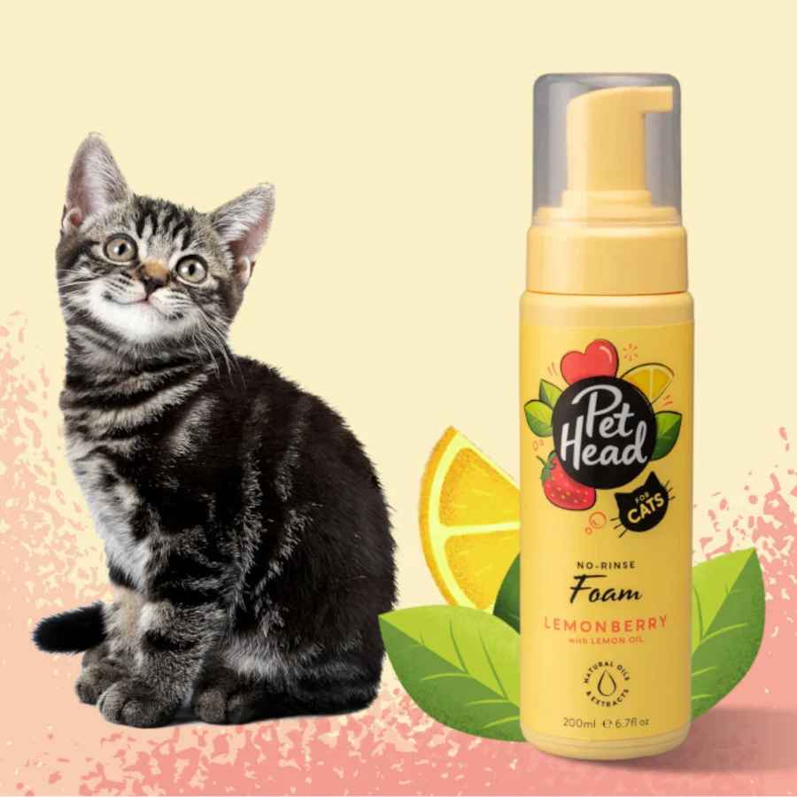 Pet Head champú en seco de fresa/limón para gatos - Image 2