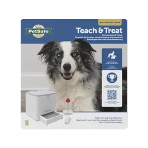 PetSafe Teach & Treat