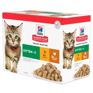 Hill's Science Plan - Gatito - Bolsita de comida - Selección de aves
