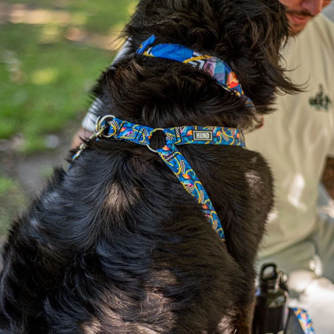 PRETAL HUND AMAZONAS - Image 2