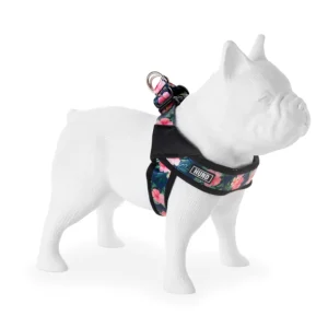 PRETAL HUND NEO PARIS