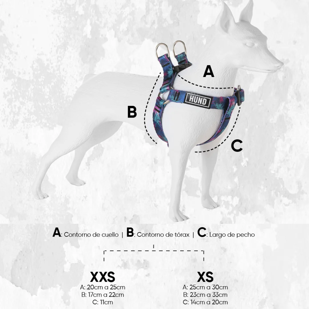 PRETAL HUND TIGRE - Image 2