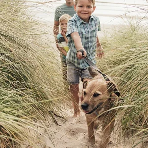 Probióticos para perros: ¿cuándo se los das y en qué ayudan?