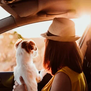 Protege a tu perro y a tu gato contra los gusanos de las vacaciones