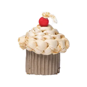 Quapas! Celebration Cupcake