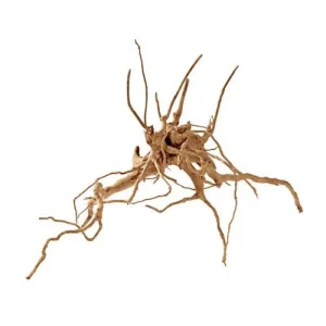 Raíz natural Fingerwood para acuarios