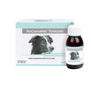 ReConvales Tonicum Perro