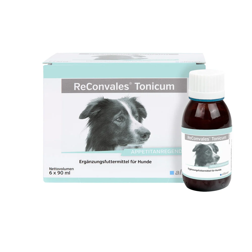 ReConvales Tonicum Perro
