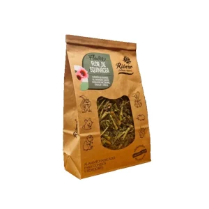 Ribero Flor de Equinácea