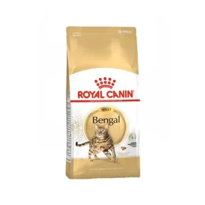 Royal Canin Adult Bengal - Comida para Gatos