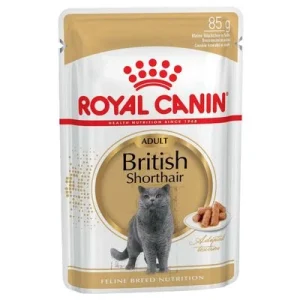 Royal Canin Breed British Shorthair 12 x 85 g