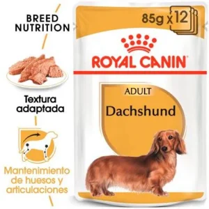 Royal Canin Breed sobre Teckel Mousse 12x85g