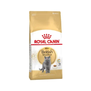Royal Canin British Shorthair Adult - Comida para Gatos