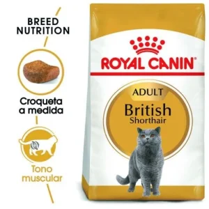 ROYAL CANIN British Shorthair Adult | Pienso gato de raza