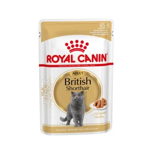 Royal Canin British Shorthair Adult Wet - Comida para Gatos