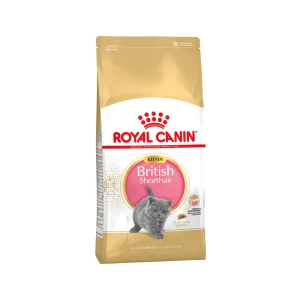 Royal Canin British Shorthair Kitten - Comida para Gatos