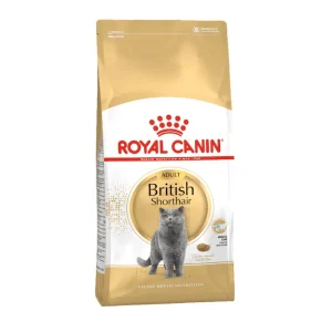 Royal Canin British Shorthair pienso para gato adulto