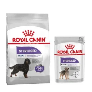 Royal Canin Care Maxi Nutrition pienso + comida húmeda: ¡15 % de descuento! Maxi Sterilised (12 kg) + Sterilised Mousse (12 x 85 g)