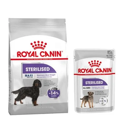 Royal Canin Care Maxi Nutrition pienso + comida húmeda: ¡15 % de descuento! Maxi Sterilised (12 kg) + Sterilised Mousse (12 x 85 g)