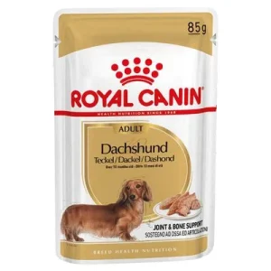 Royal Canin Dachshund Adult Mousse 12 x 85 g