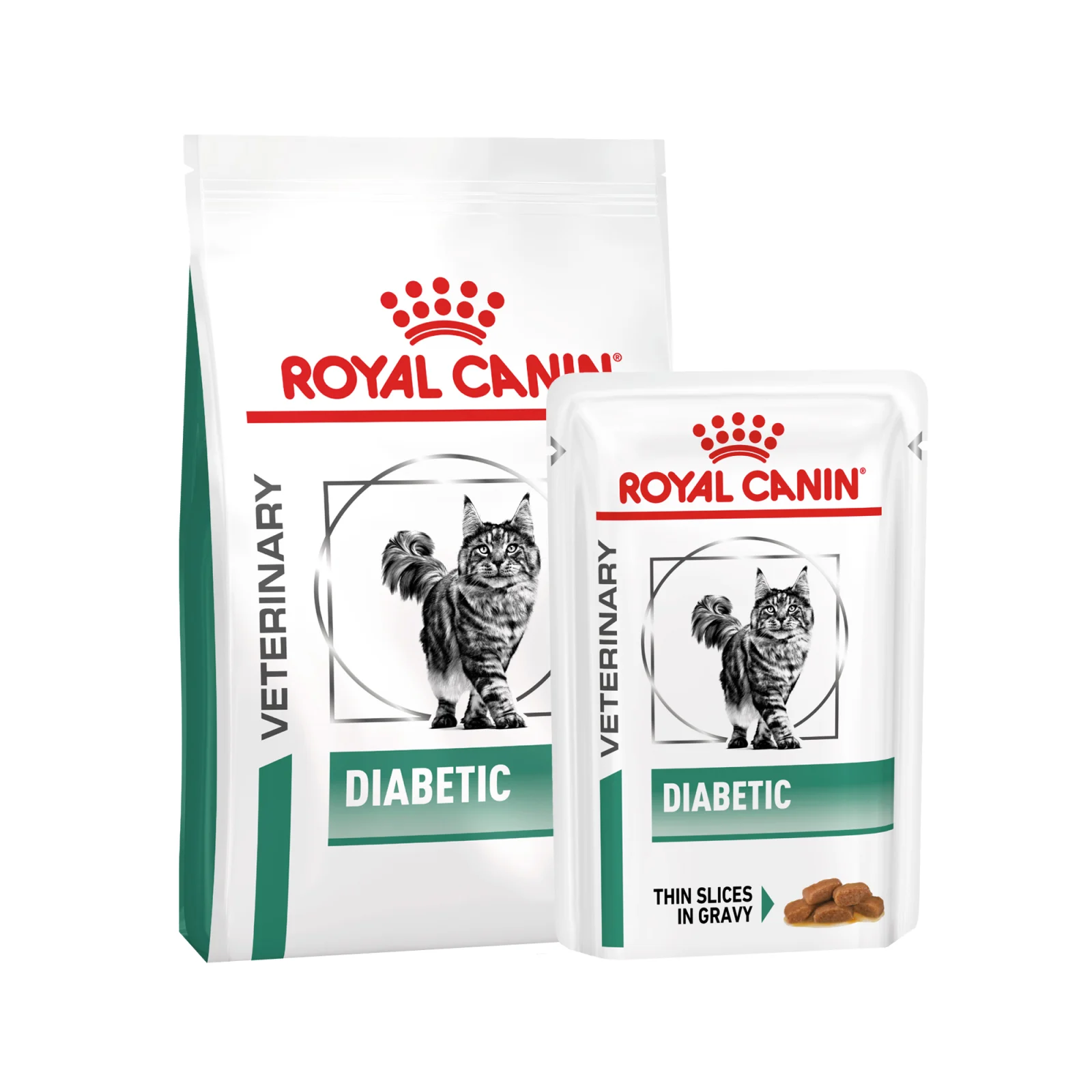 Royal Canin Diabetic Gato - Image 2