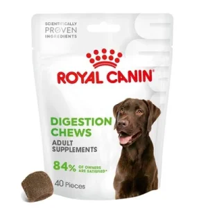 Royal Canin Digestion Adult suplemento masticable 160 g (40 uds.)