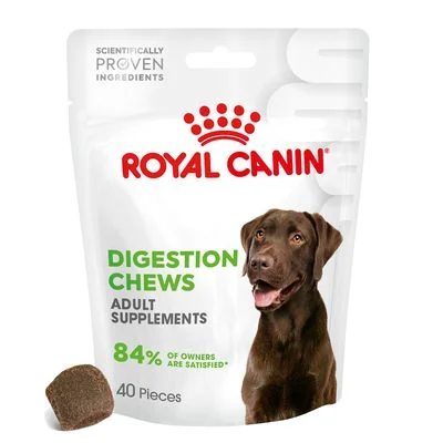 Royal Canin Digestion Adult suplemento masticable 160 g (40 uds.)