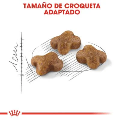 Royal Canin Feline Kitten 10kg - Image 2