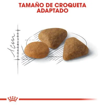 Royal Canin Feline Savour Exigent 10kg - Image 2