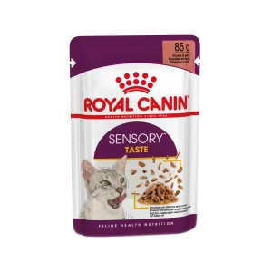 Royal Canin FHN Sensory Taste Comida para Gatos