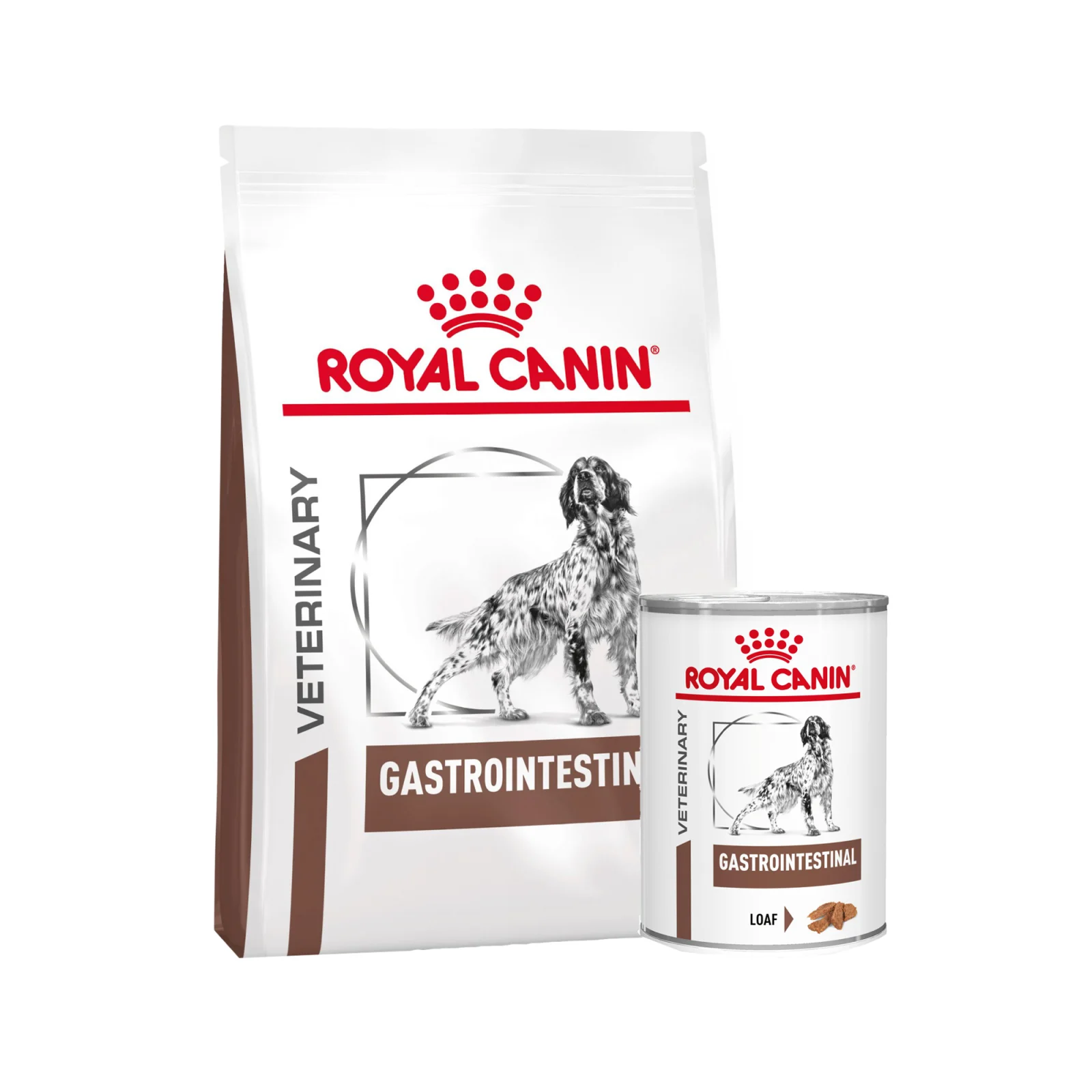 Royal Canin Gastrointestinal Perro - Image 2
