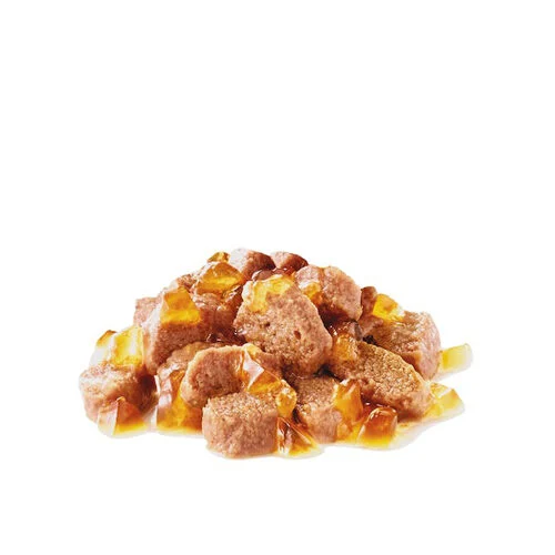 Royal Canin Hairball Care in Jelly - Comida para Gatos - Image 2