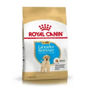 ROYAL CANIN LABRADOR RETRIEVER 33 PUPPY
