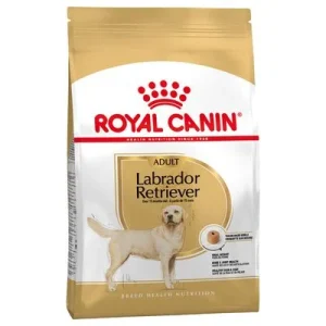 Royal Canin Labrador Retriever Adult 3 kg